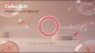 CodeLifeAI Education: Introduction to Plasmid