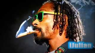 Snoop Dogg - Smook Weed Every Day Dubstep Remix