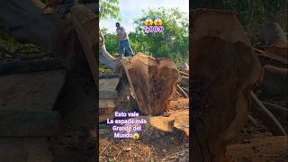 Esto vale la espada más grande del mundo😱#chainsaw #asmrvideo #woodwork