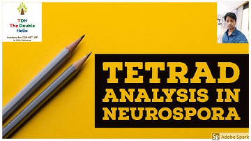 Tetrad Analysis in Neurospora !! Detection of Gene Centromere Linkage
