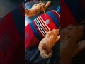 Goltu sona viral cat catcompilation