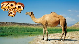 Dromedary Camel Exhibit Speed Build - Zoo Tycoon 2
