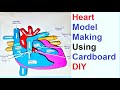 heart model making using cardboard | diy | science project | howtofunda