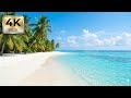 Serenity: Maldives White Sand Beach 🌴 Relaxing Background for Your Soul