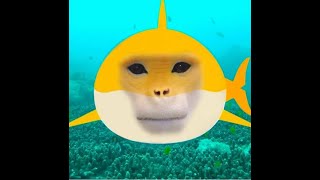 Unusual Memes Compilation v8