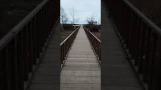پل چوبی جوکندان،تالش،گیلان ♥️♥️#پل_چوبی_جوکندان #منطقه_ی_حفاظت_شده_ی_جوکندان