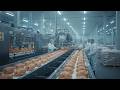 Inside Poultry Farming From Breeding Stock to Consumer Products