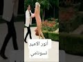 أنور الامير تسونامي   اغاني