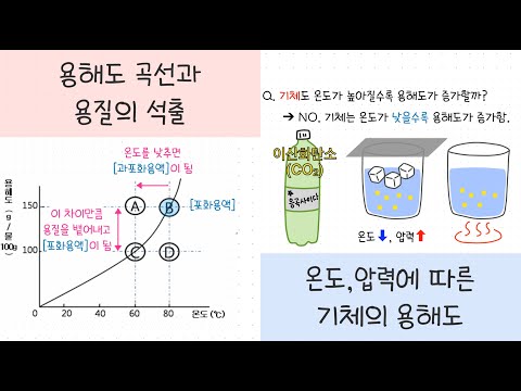 [중2 물질의특성] 2강. 용해도┃용해도 곡선 해석하기┃기체의 용해도👻