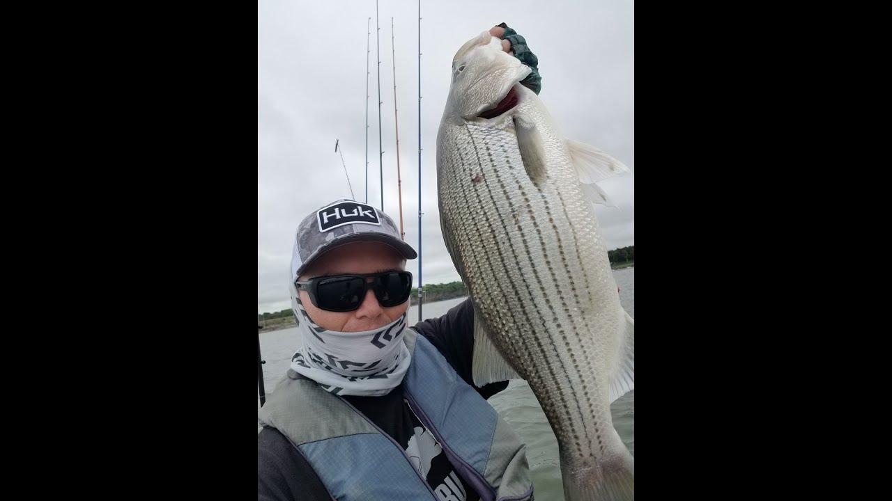 Walleyes and Wipers and Blue Cats Oh My! Kayak Fishing Milford Lake