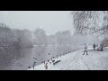 LONDON SNOW WALK ☃️ Snowing in St James’s Park 2021