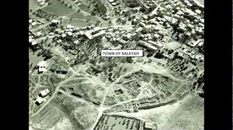                                                  Info Of Harvard Semitic Museum YouTube Channel