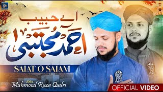 Hajj Special Kalam 2026 | Aye Habibe Ahmade Mujtaba Dile Mubtala Ka Salam Lo | Mahmood Raza Qadri