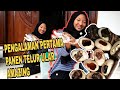 ULAR PITON TERBESAR DI SATWA NUSANTARA BERHASIL MENETAS|PANEN TELUR ULAR || Satwa Nusantara