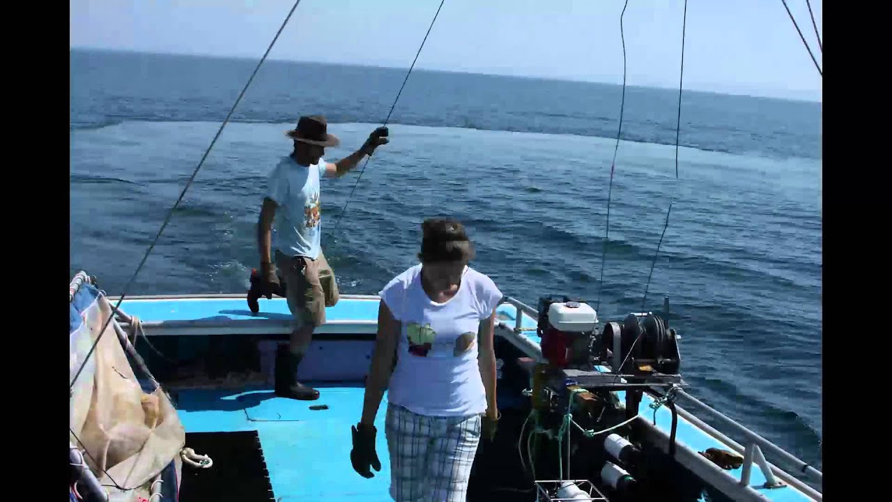 Sampling for Larval Invertebrates in St. George's Bay