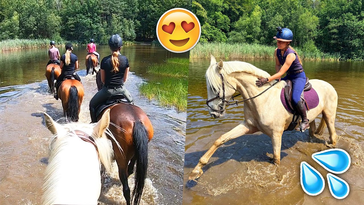 ZWEMMEN met paarden en RENGALOP over de HEIDE! | felinehoi VLOG 