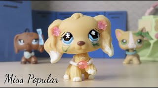 LPS: Miss Popular {Short Film}