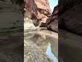 Paria Canyon Backpacking Day 1 Hiking