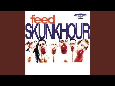 Skunkhour — That 's the Way