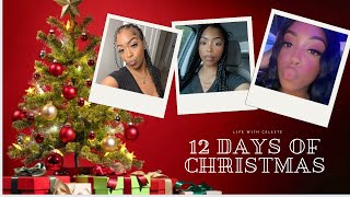 12 Days of Christmas: Day 2 December Dump Vlog