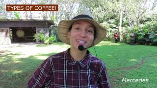 COFFEE by Michael Leveille 51 views 2 months ago 5 minutes, 24 seconds