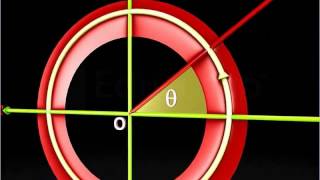 Complex Numbers in Argand Plane - Class 11