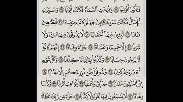 سورة (النبأ) قراءة من صلاة الفجر