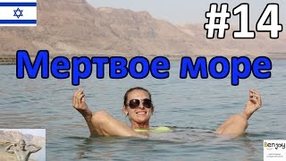 Автостопом к Мертвому Морю, купания, грязи, Израиль Dead Sea. Часть 14
