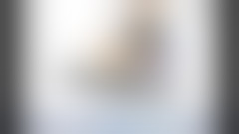 How to Install Windows 2000 in Vmware Workstation 15