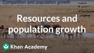 Resources and population growth | Interactions in ecosystems | Middle school biology | Khan Academy
