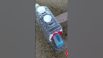 Simple Bottle Mouse Trap For Home Part 04