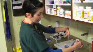Nurse Karla - Making slides by staining for microscopic examination