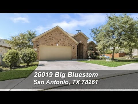 26019 BIG BLUESTEM