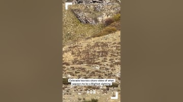Colorado tourists share video of what appears to be a Bigfoot sighting