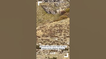 Colorado tourists share video of what appears to be a Bigfoot sighting