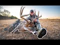 BIG BUCK Bow Hunting in Kansas!!! (FIRST NIGHT!)