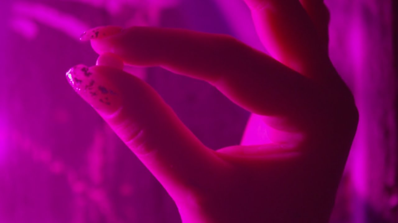 Informe revela que su uso incitaría el consumo de drogas