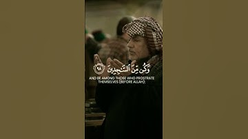 Surah Al - Hijr [97-99] || سورة الحجر |Wa laqad na'lamu annaka yadeequ #surahalhijr #quran #alquran