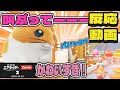 ニンダイ反応 最新作が楽しみすぎるカービィファンVtuber カービィのエアライダー 