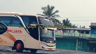 Story Wa Lagu Sdanai Kapan Versi Bus Murni Jaya