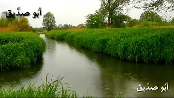 تلاوةٌ هادئة وجميلة لسورة الذاريات كاملة / مع مشهد جميل سُبحانَ الخالق المصوّر