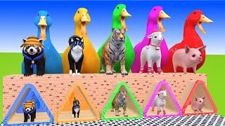 5 Giant Duck, Monkey, Tiger, Piglet, chicken, dog, cow, Sheep, Transfiguration funny animal 2023