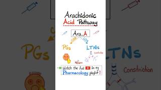 Arachidonic Acid Pharmacology- Prostaglandins and Leukotrienes…#biology #nclex #mbbs #pharmacology