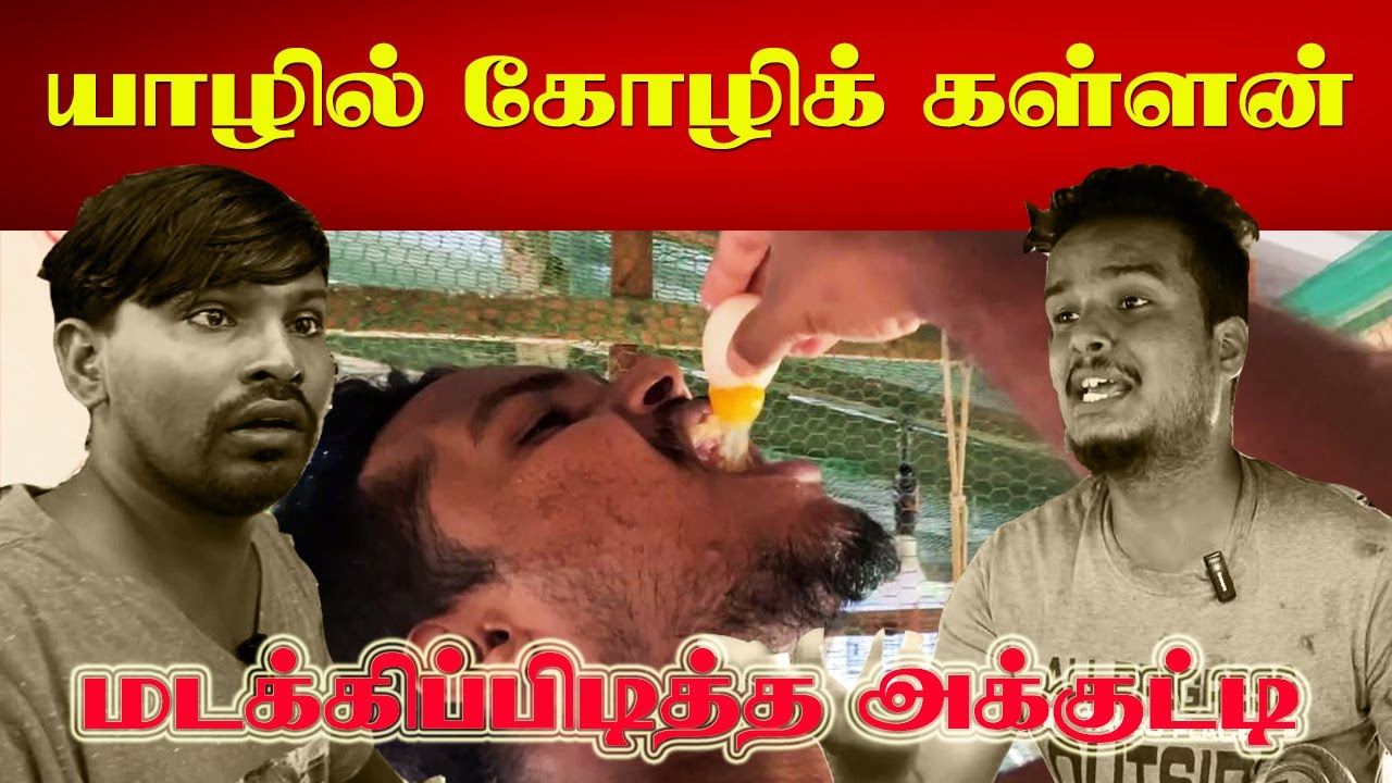கோழித் திருடனின் தில்லுமுல்லு - மடக்கிபிடித்த அக்குட்டி | Akkuddi pichumani | SriLankan Tamil Comedy