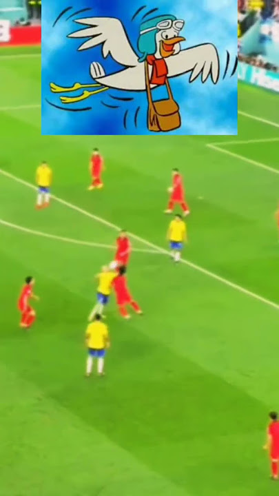 Pegue o pombo #seleçãobrasileira