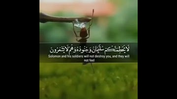 (وَأَدْخِلْنِي بِرَحْمَتِكَ فِي عِبَادِكَ الصَّالِحِينَ) بصوت القارئ أحمد الشاذلي#راحة لقلبك#القرآن