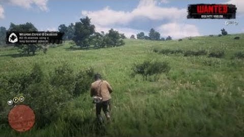 Red Dead Redemption 2 - RDR2 - WEAPONS EXPERT 7 CHALLENGE - KILL 4 ENEMIES WITH THE SAME TOMAHAWK