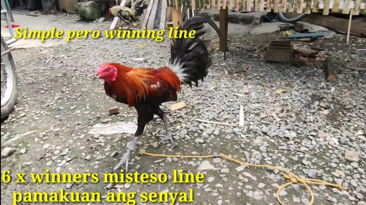 1 2 3 ang paningit pataas Ng tahed kaliwa at kanan,