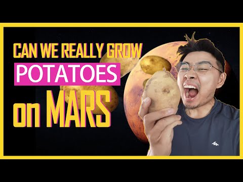 Video: No Potatoes On Mars. Nothing Will Grow In This Acidic Soup - Alternative View