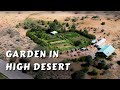 Permaculture garden in the high desert